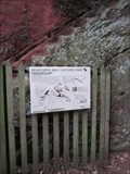Image for Kynastons Cave, Cliffs, Nesscliffe, Shrewsbury, Shropshire, England, UK
