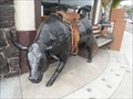 Image for Bull's Bulls  -  San Diego, CA