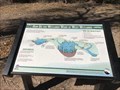 Image for How Do the Wetlands Work at West Wetlands Park - Yuma, AZ