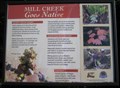 Image for Mill Creek Native Plants - Salem, Oregon