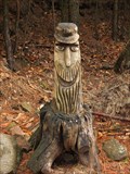 Image for Wood Face with cap in the Palatinate Forest - RLP / Germany