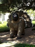 Image for Darwin the Gorilla - Waco, TX