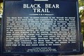 Image for Black Bear Trail