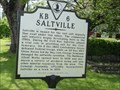 Image for Saltville