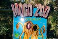 Image for Mogo Zoo, Mogo, NSW, Australia