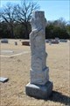 Image for William Hamilton Minton - Mount Carmel Cemetery - Wolfe City, TX