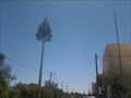 Image for Pine Cell Tower - Vilamoura, Portugal
