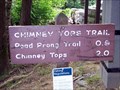 Image for Chimney Tops Trail - Great Smoky Mountains National Park, TN