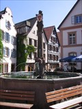 Image for Schiltach Stadtbrunnen (town fountain)