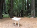 Image for Chandler Grove Trailhead - Humboldt Redwoods SP - California