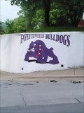 Image for Fayetteville Bulldogs Mural - Fayetteville AR