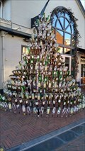 Image for Huge bottle tree - Wijchen, NL