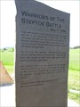 Image for Warriors of the Steptoe Battle - Plummer, ID, USA