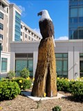 Image for American Bald Eagle - Washington , DC