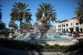Image for The Fountains - Orlando Fla