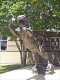 Image for Tiger Pride - College Station, TX