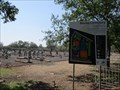 Image for Moree Cemetery, NSW, Australia