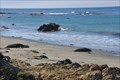 Image for San Luis Obispo North Coast Byway ~ Elephant Seal Rookery