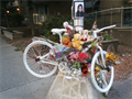 Image for Ghost Bike - Nusrat Jahan - Laurier & Lyon, Ottawa, Ontario