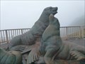 Image for Sea Lions, Florence, OR