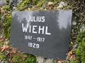 Image for Julius Wiehl - Habruvka, Czech Republic