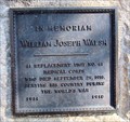Image for William Joseph Walsh - Buena Vista, CO