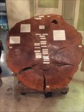 Image for Tree Trunk Time Line  Heard Museum - Fairview, TX, US