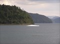 Image for Lake Okataina. North Is. New Zealand.