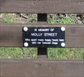 Image for Molly Street - Nantwich, UK