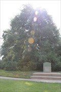 Image for "500-Year-Old Beloved Charter Oak Was Attacked With a Powerful Herbicide : Accused Texas Tree Vandal Lived a Loner's Life of Hostility and Anger" -- Austin TX