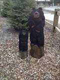 Image for Black Bears - Holland, Michigan