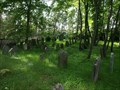 Image for židovský hrbitov / the Jewish cemetery, Dražkov,  Czech republic