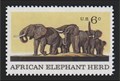 Image for African Elephants, American Museum of Natural History, New York, NY