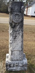 Image for James Campbell - Sardis Cemetery - Greenville, AL