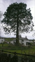 Image for Blackbeck Redwood, Hawkshead, Cumbria