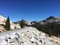 Image for Tioga Pass - Yosemite, CA