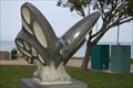 Image for Butterfly - Pacific Grove, California