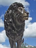 Image for Lion of Judah - Kerrville, TX