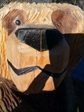 Image for Motel 6 Bear - Flagstaff, AZ
