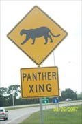 Image for Panther Crossing - Gateway, FL