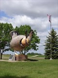 Image for Booming Prairie Chicken - Rothsay, Minn.