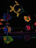 Image for Zoo Lights at the Oregon Zoo