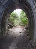 Image for Dularcha Railway Tunnel - Mooloolah, QLD, Australia