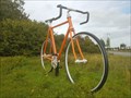 Image for Giant Bike - Apeldoorn Netherlands