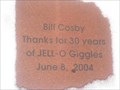 Image for Jello Factory - Bill Cosby Pavers