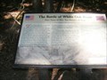 Image for The Battle of White Oak Road Four Years of War, Ten Months of Siege -  Petersburg VA