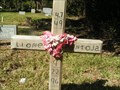 Image for Lionel Pantoja - Mainland Memorial Cemetery - Hitchcock, TX