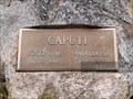 Image for 100 - Amalia M. Caputi at Swan Point Cemetery - Providence, Rhode Island.
