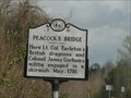 Image for Peacock's Bridge  -  F-31