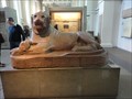 Image for Lions of Amenhotep III  -  London, England, UK